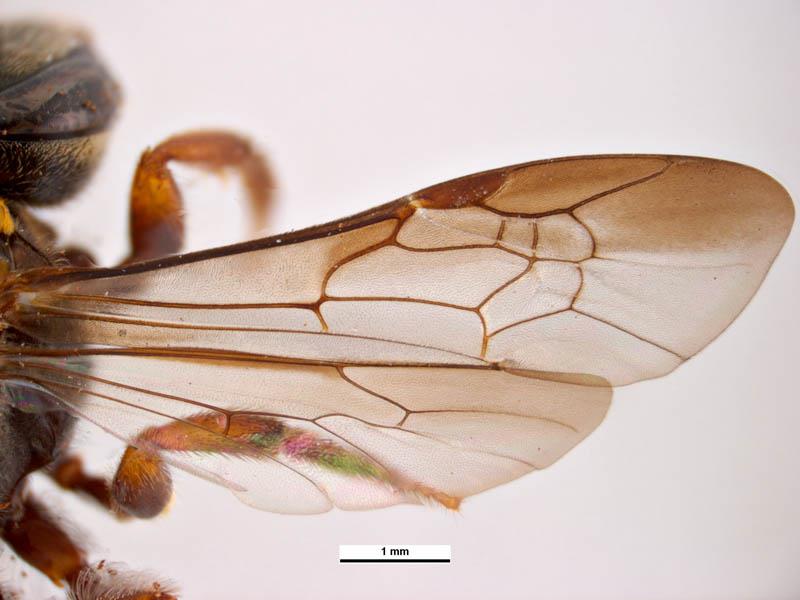 Figure 2. Landmark 3 variation